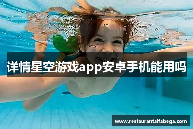 详情星空游戏app安卓手机能用吗